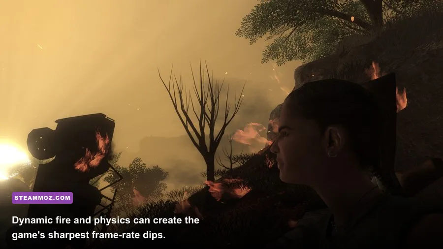 Far Cry 2 fire spreading through dry grass during combat