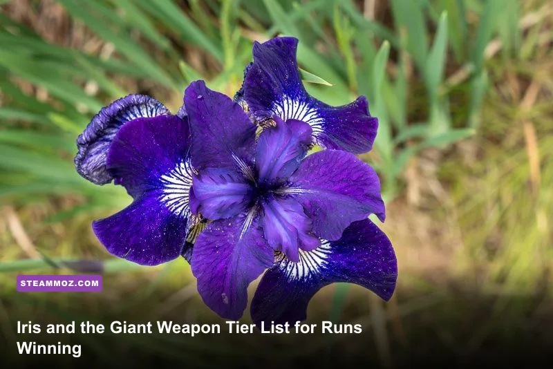 Iris and the Giant Weapon Tier List for Winning Runs
