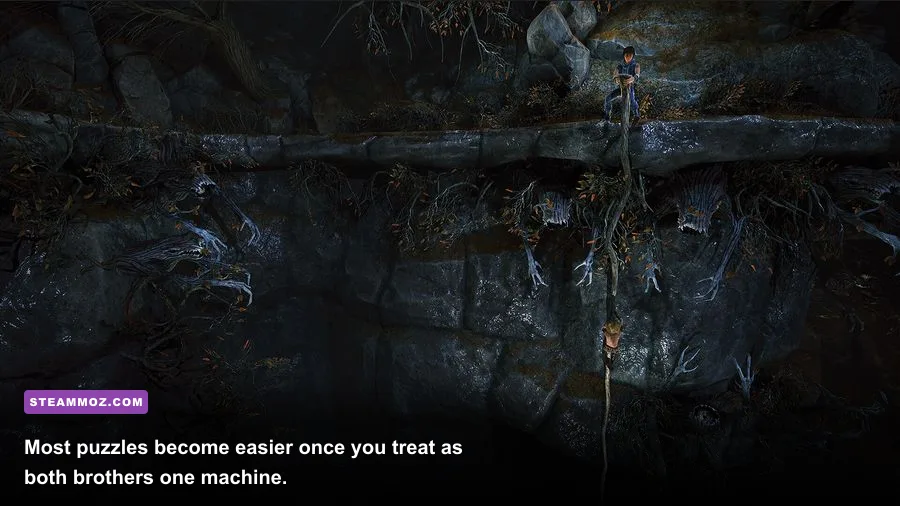 Brothers A Tale of Two Sons Remake puzzle requiring both brothers to operate separate mechanisms