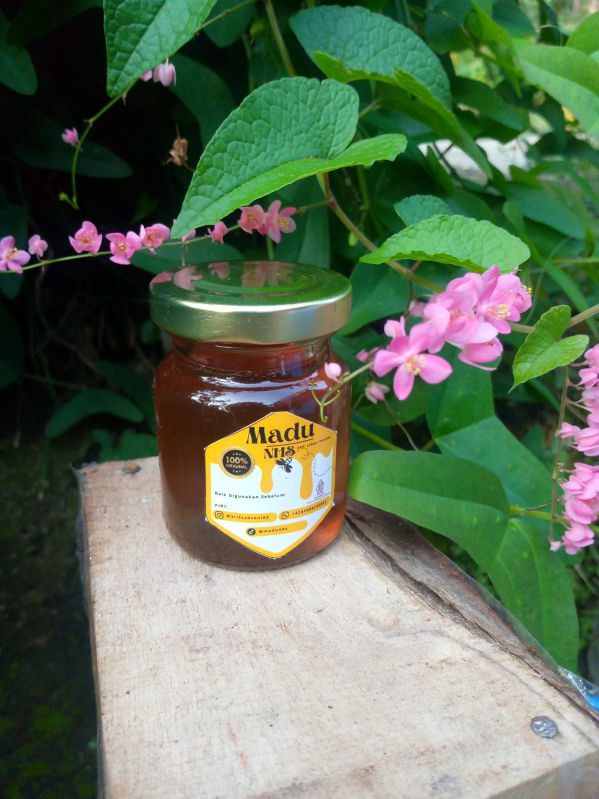 Madu Hutan Asli