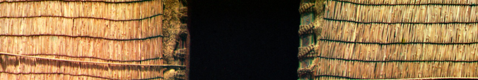 222.jpg