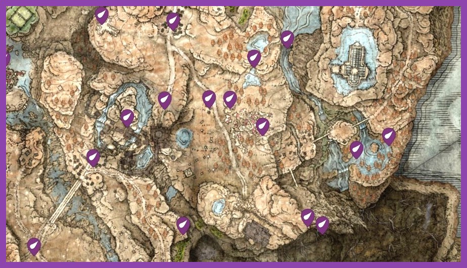 Scadutree Fragment item in Elden Ring Shadow of the Erdtree
