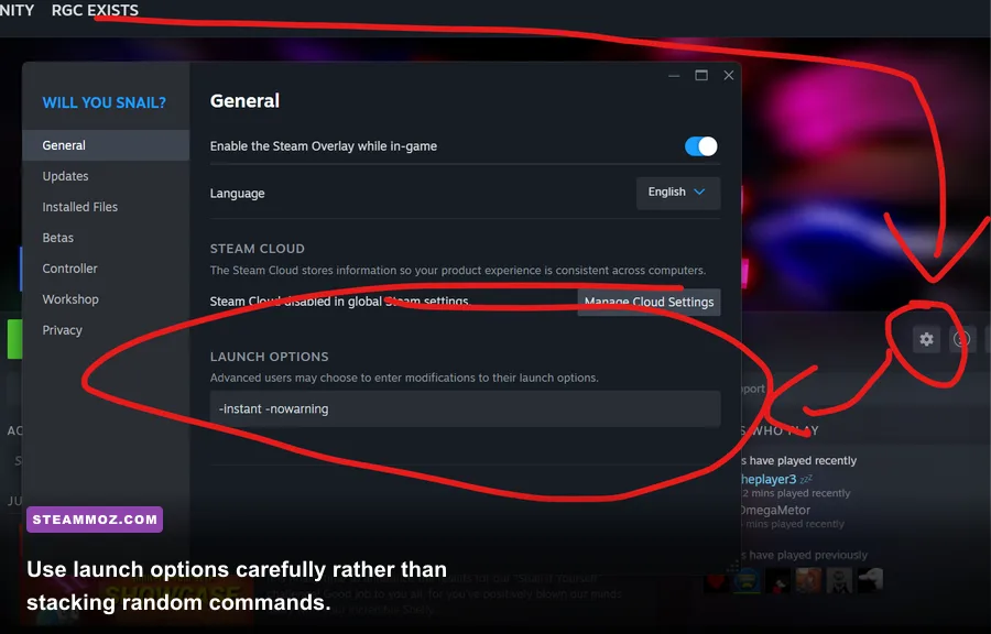 Steam launch options field configured for Elendia Ceus troubleshooting