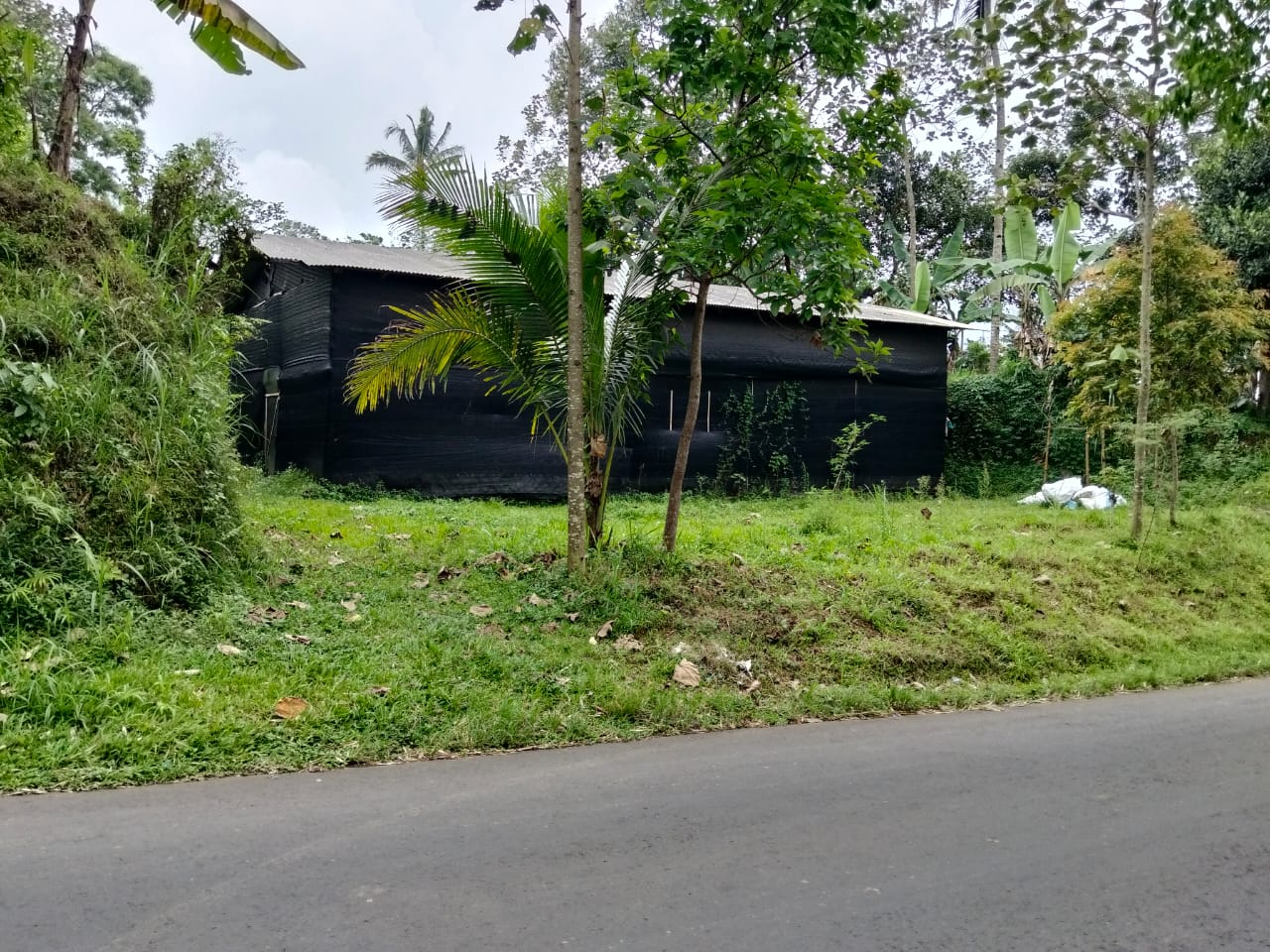 Tanah SHM 1.302 m² dengan Gudang Budidaya Jamur