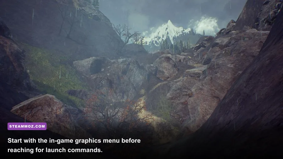 Drizzlepath Genie PC graphics settings menu showing resolution and quality options