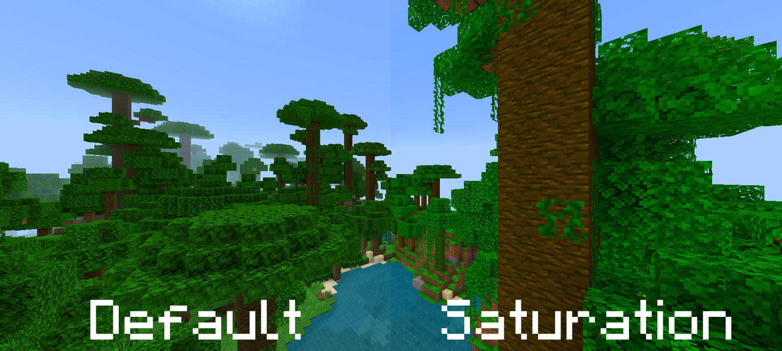 Jungle comparison