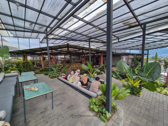 Ancala Coffee & Bistro