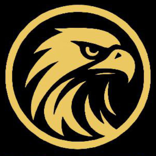 Eagle logo (replaceable PNG)
