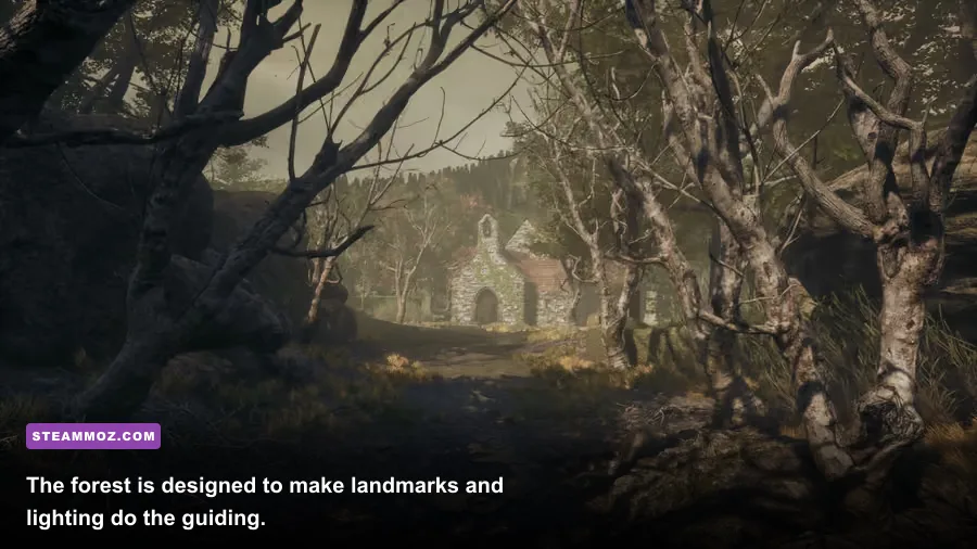 The Cions of Vega dark forest environment during exploration