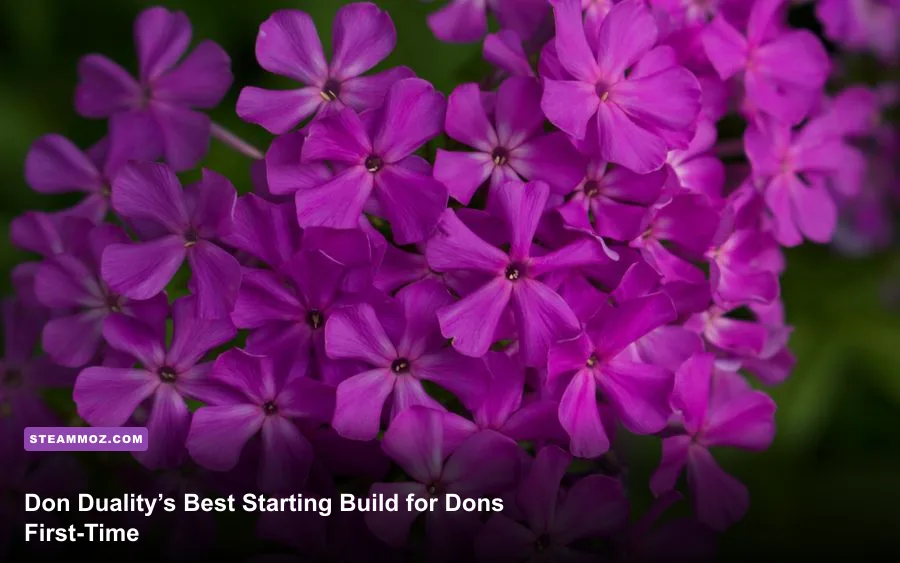 Don Duality’s Best Starting Build for First-Time Dons