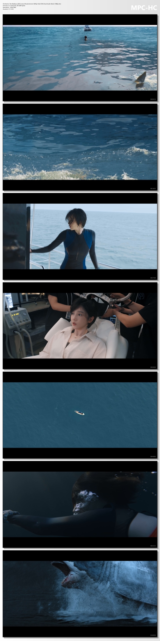 The Shallows (2025) www Filmy Hub store HDRip Hindi ORG Dual Audio Movie 1080p mkv thumbs