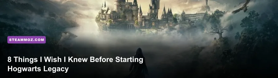 Player character looking out over the Hogwarts grounds during sunset