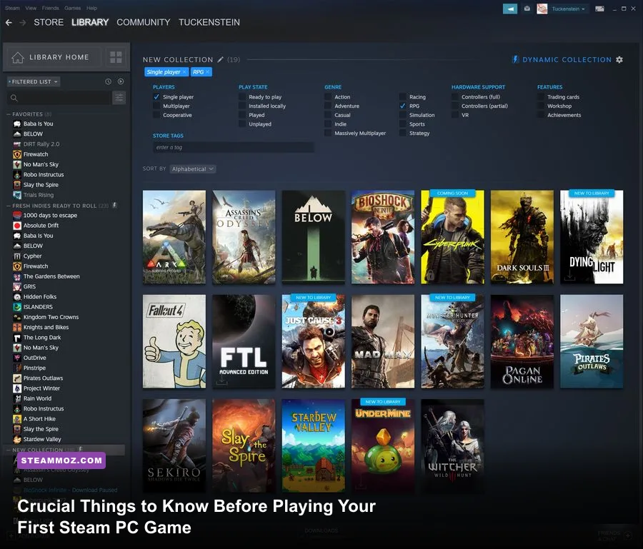 Steam client interface showing modern PC gaming library layout