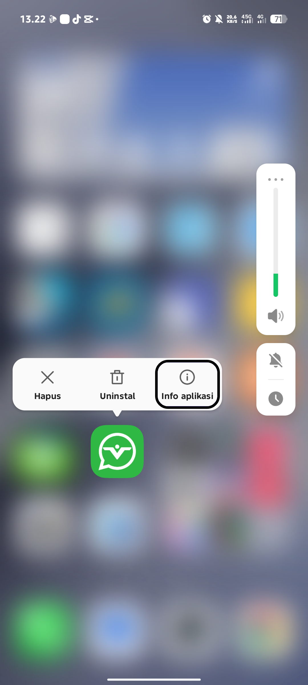 Step 11