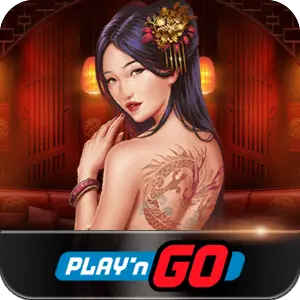 PLAY N GO