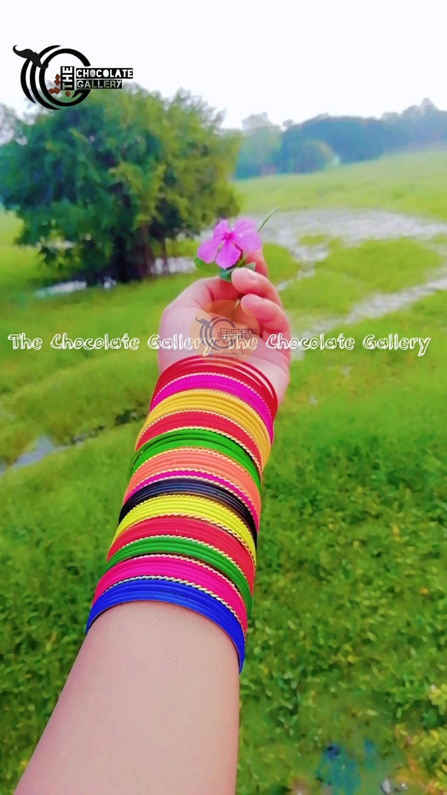 Designer Crystal Bangles Set