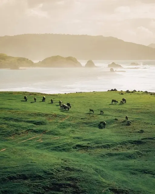 South Lombok Tour