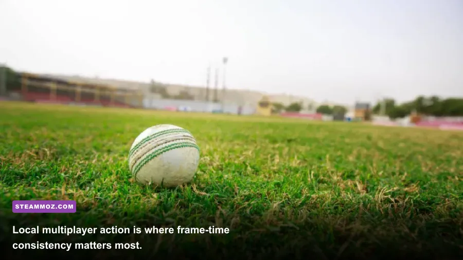 Cricket Through the Ages local multiplayer match on PC