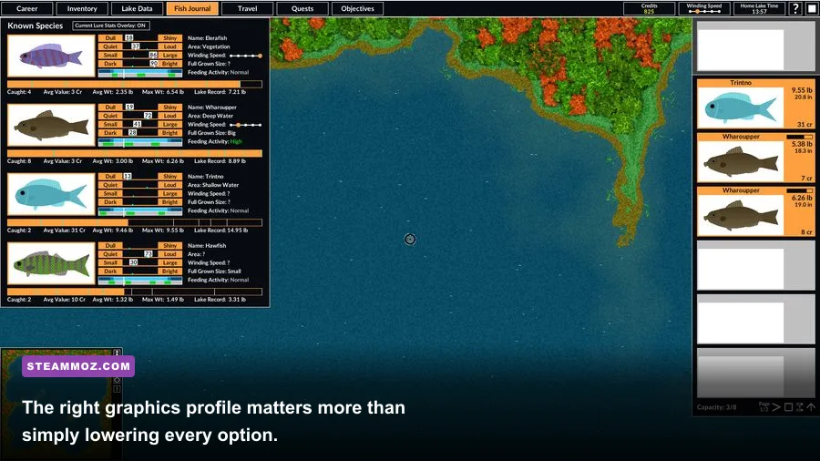Intergalactic Fishing graphics options menu showing resolution and quality settings on PC
