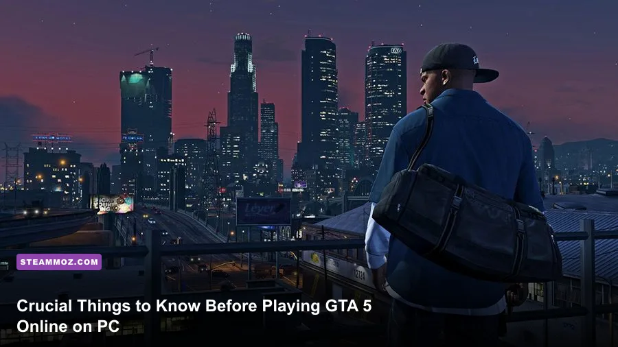 Player character overlooking the sprawling Los Santos skyline in GTA 5 Online PC