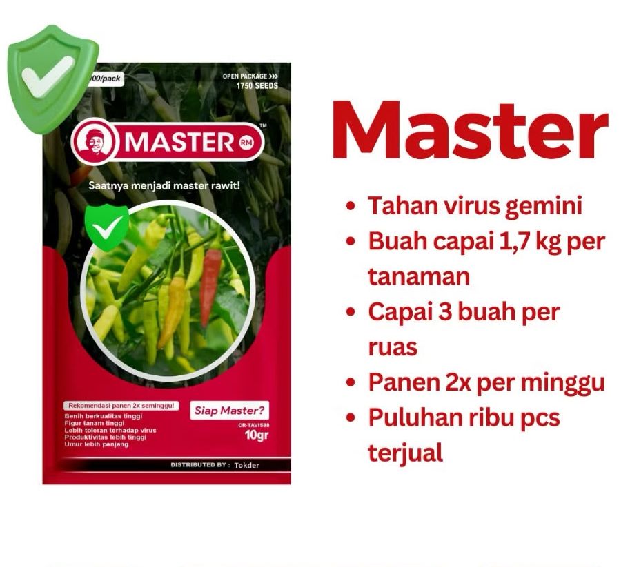 Benih Cabe Rawit Master