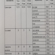 23 апта 4 күн,           23 неделя 4 день