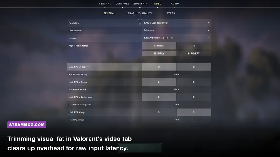 Valorant in-game video graphics settings tab with performance options