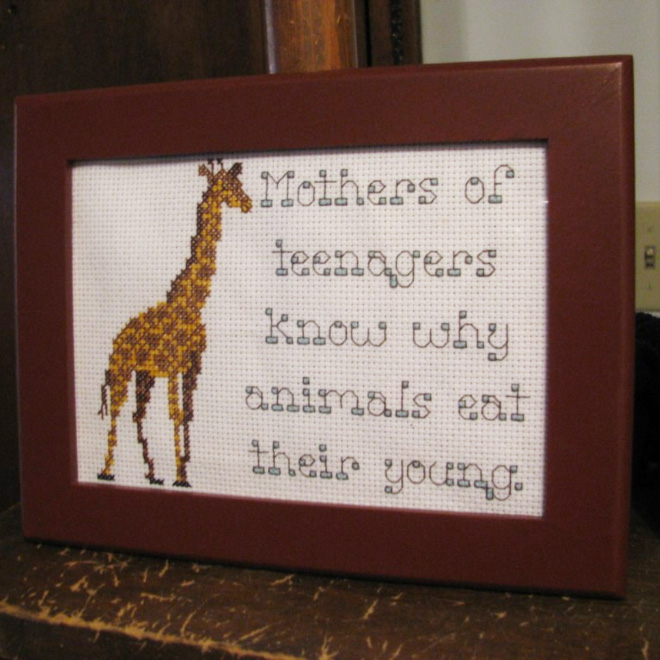 hilarious-cross-stitches22.jpg