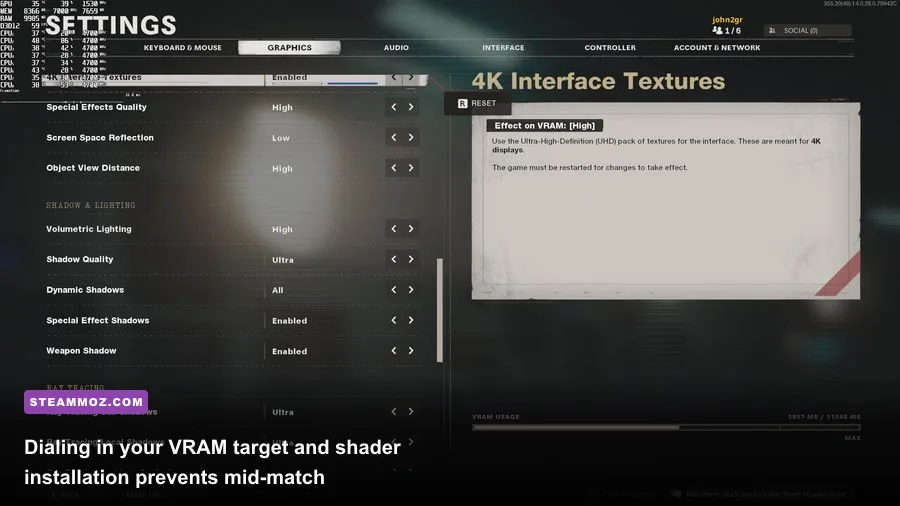 In-game graphics settings menu in Call of Duty Cold War on PC