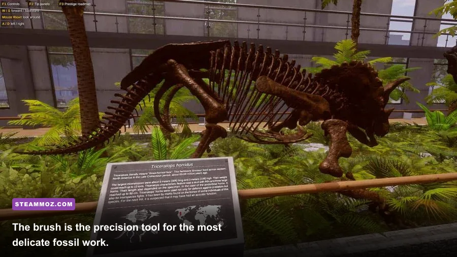 Dinosaur Fossil Hunter fossil cleaning station with a fossil brush in the laboratory