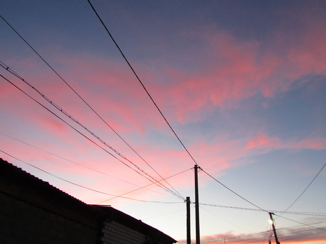 IMG-7234.jpg