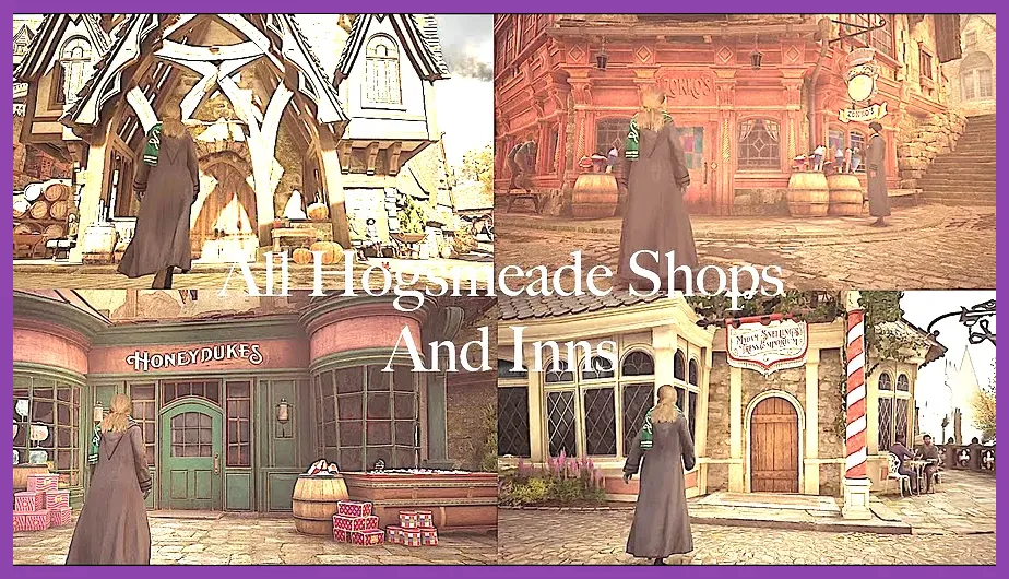 Brood and Peck and Thomas Brown shops in Hogsmeade