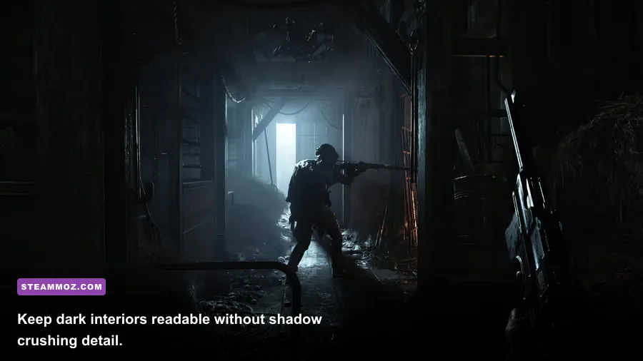 Hunt Showdown 1896 hunter using Dark Sight inside a dark boss lair