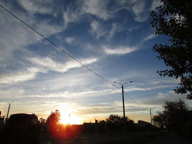 IMG-7198.jpg