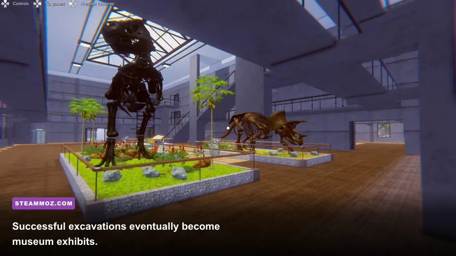 Dinosaur Fossil Hunter museum display featuring an assembled dinosaur skeleton