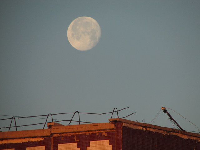 IMG-7311.jpg