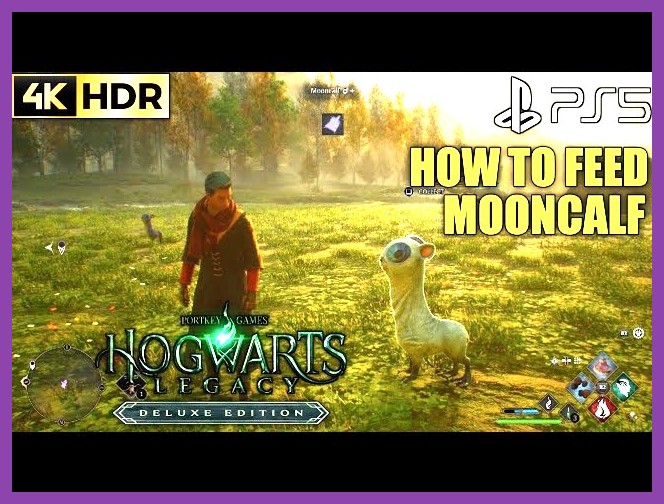 Cute giant-eyed Mooncalves eating beast feed in Hogwarts Legacy Room of Requirement
